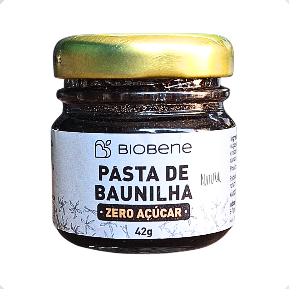 Pasta De Baunilha Concentrada Zero Açúcar Biobene 42g